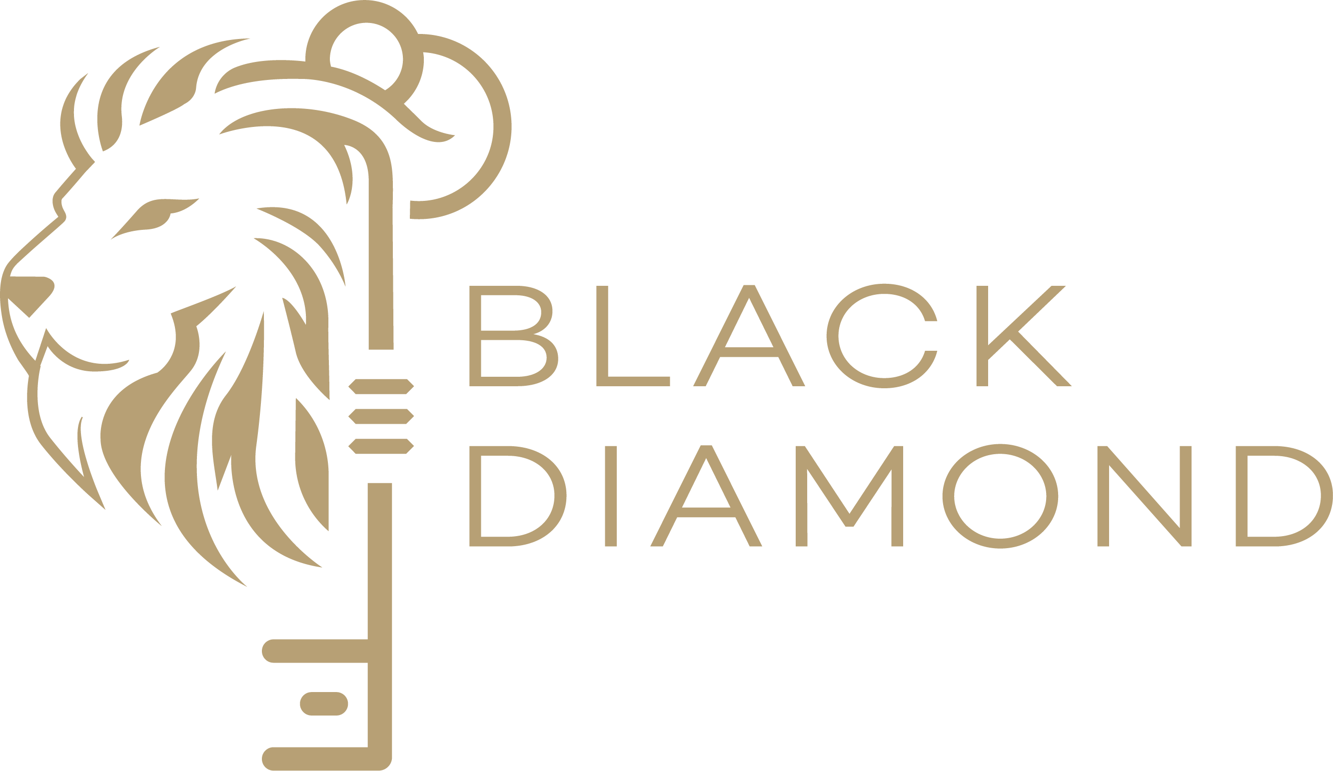 Logo principal — Black Diamond