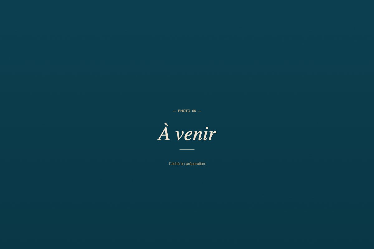 Photo à venir
